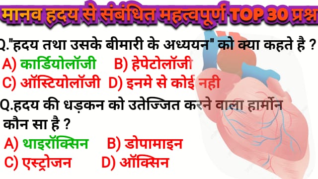 मानव हदय(Human Heart) Related top 30 MCQ IN Hindi