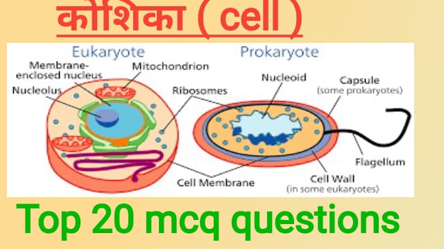 कोशिका ( cell ) top 20 mcq quiz