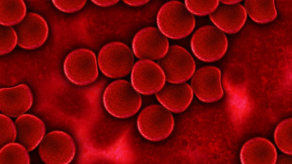 Blood-composition-&-function-रक्त-की-संरचना-और-कार्य