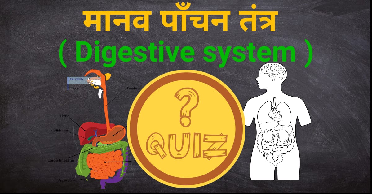 digestive-system-MCQ