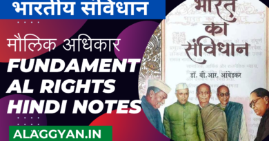 मौलिक अधिकार ( fundamental rights ) hindi notes